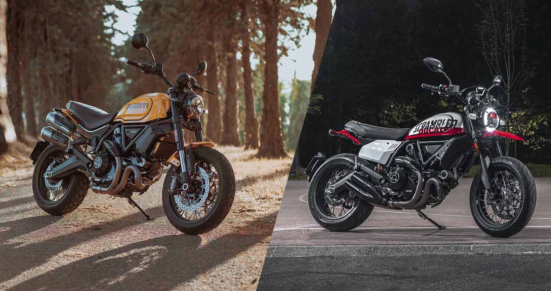 2022 Ducati Scrambler 1100 Tribute Pro / Urban Motard