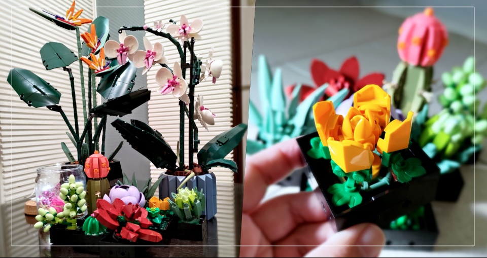 LEGO樂高小花園加入新成員：LEGO 10309多肉植物、LEGO 10311蘭花