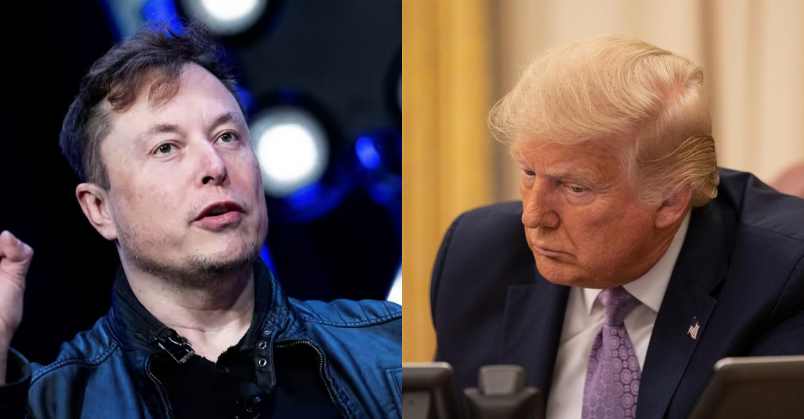 elon musk and trump
