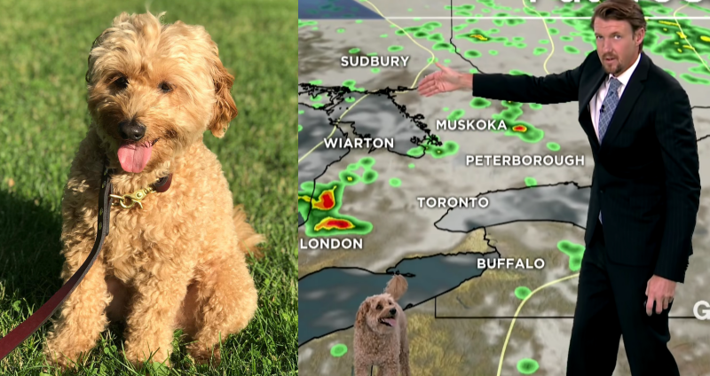 weather report
