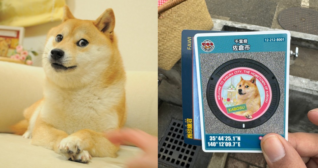 2025 日本新景點推薦「迷因柴犬Doge紀念碑」荷蘭風車＋花海環繞，專屬人孔蓋紀念卡必收藏