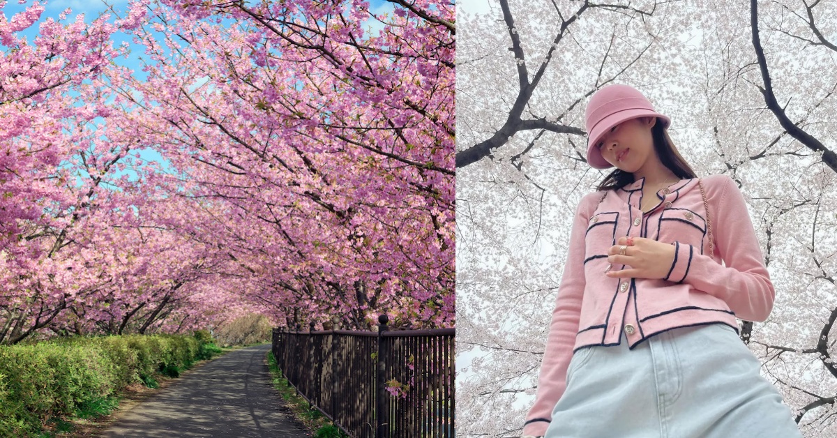 銅板價飛日本賞櫻！Trip.com 春季旅展連 4 天開搶，還有 TWICE 應援包車！