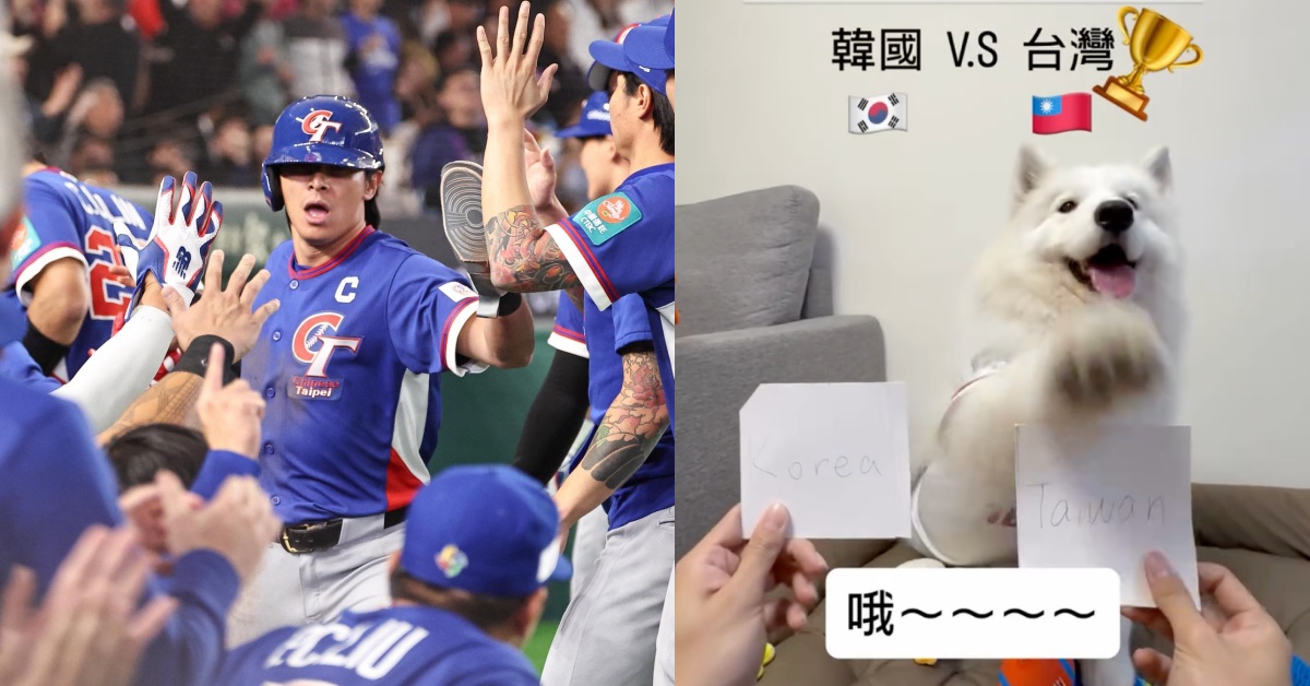 WBC 贏韓國早被預言？薩摩耶「萊芙」神準預測 4 戰全中　網朝聖：台灣神犬