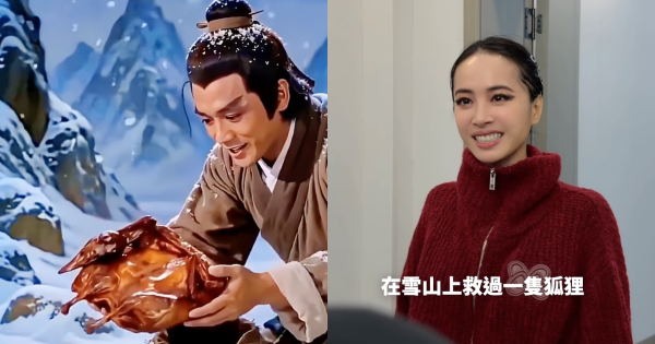 你是否在雪山就過一隻狐狸
